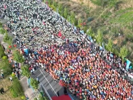 彩运网(中国)官方网站